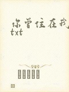 你曾住在我心上txt