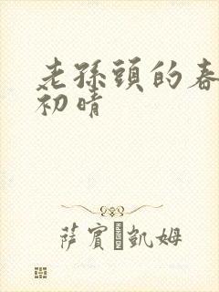 老孙头的春天林初晴