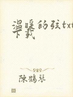 温暖的弦txt下载
