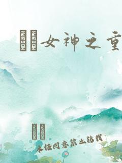鹡鸰女神之重生