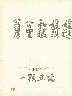 翁公和媛媛在厨房里猛烈进出