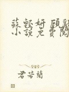 苏轻妍 顾辞笙小说免费阅读