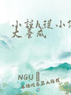 小说h从小做到大养成