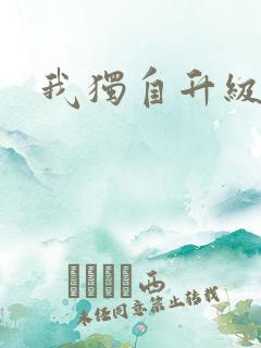 我独自升级小说