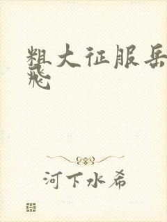 粗大征服岳女双飞