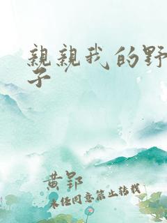 亲亲我的野猪王子