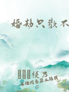 婚劫只欢不爱