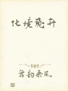 化境飞升