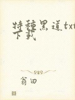 特种黑道txt下载