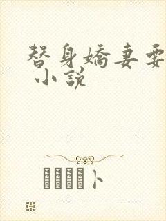 替身娇妻要离婚 小说