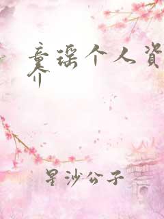 童瑶个人资料简介