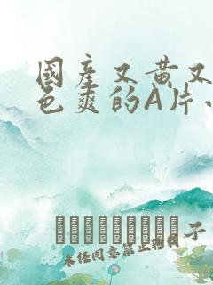 国产又黄又大又色爽的A片小说