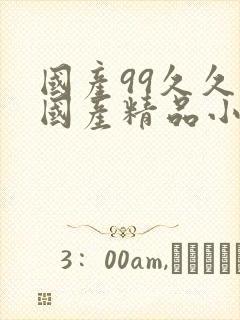 国产99久久久国产精品小说