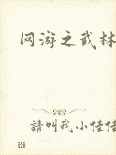 网游之武林新传