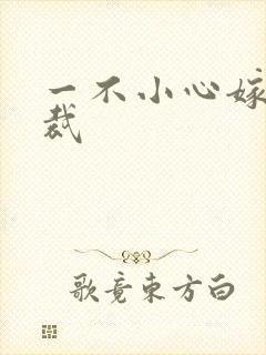 一不小心嫁给总裁