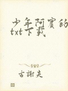 少年阿宾的故事txt下载