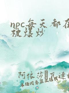 npc每天都在被爆炒