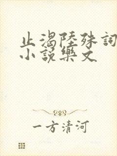 止渴陆殊词陆筝小说乐文