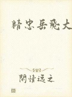 精忠岳飞大结局