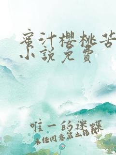 蜜汁樱桃苦咖啡小说免费