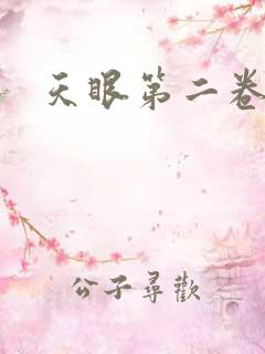 天眼第二卷