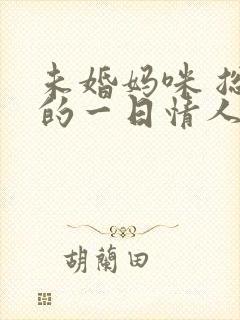 未婚妈咪 总裁的一日情人