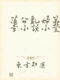 荡公乱妇第51章小说小莹