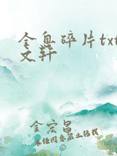 全息碎片txt文轩