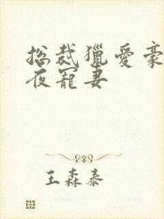 总裁猎爱豪门一夜宠妻