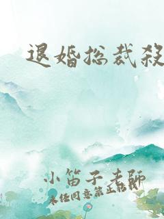 退婚总裁杀手妻