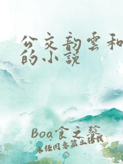 公交韵云和小健的小说