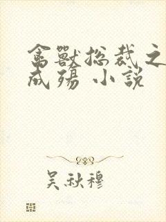 禽兽总裁之虐爱成殇 小说