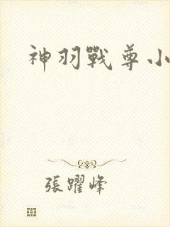 神羽战尊小说