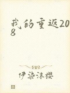 我的重返2008