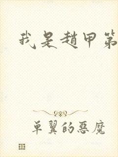 我是赵甲第小说