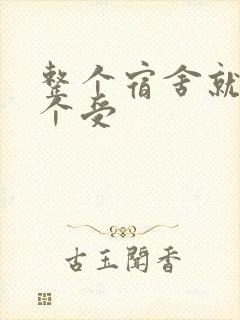 整个宿舍就我一个受