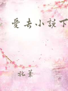 爱去小说下载网