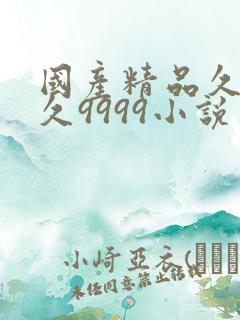 国产精品久久久久9999小说