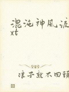 混沌神风流史txt