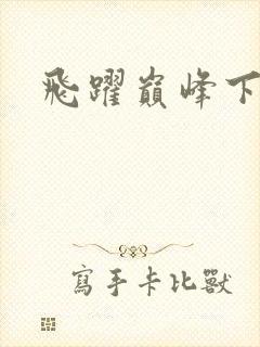 飞跃巅峰下载