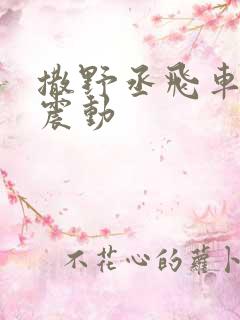 撒野丞飞车道具震动