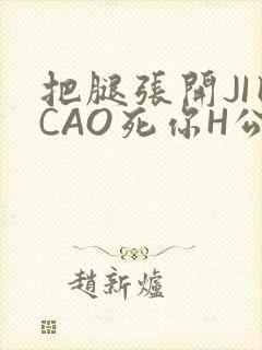 把腿张开JI巴CAO死你H公园