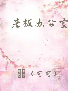 老板办公室调数