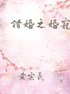 错婚之婚宠一世