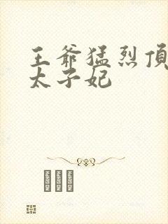 王爷猛烈顶弄H太子妃