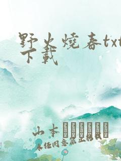 野火烧春txt下载
