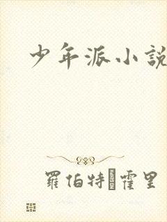 少年派小说