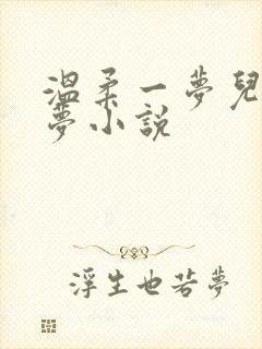 温柔一梦儿媳林梦小说