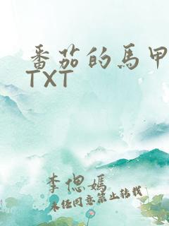 番茄的马甲小说TXT