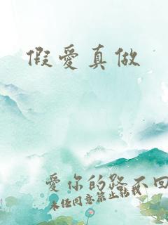 假爱真做